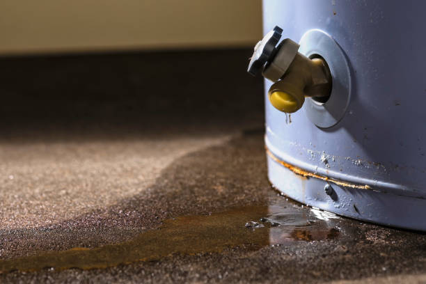 Best Water damage cleanup near me  in Greenfields, PA