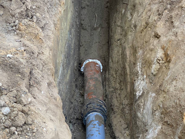 Best Professional water damage repair  in Greenfields, PA