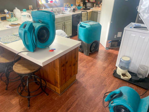 Best Carpet water damage restoration  in Greenfields, PA
