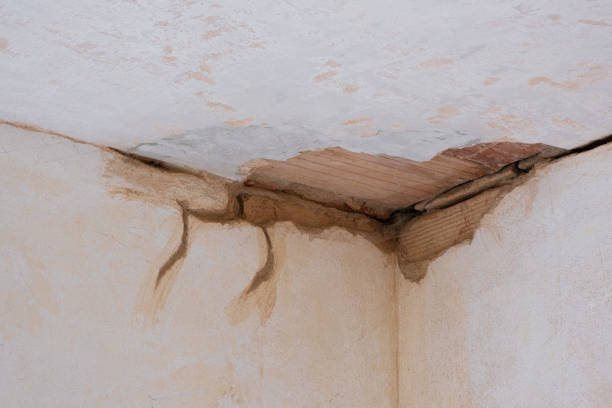 Best Basement water damage restoration  in Greenfields, PA