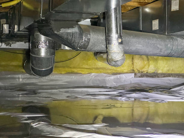 Best Mold removal after water damage  in Greenfields, PA