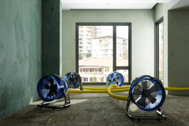 Best 24-hour water damage restoration  in Greenfields, PA